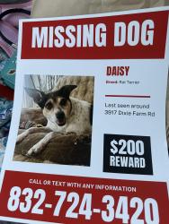 Lost Female Dog last seen Hwy 35 & Hastings Field Road, Pearland, TX 77581