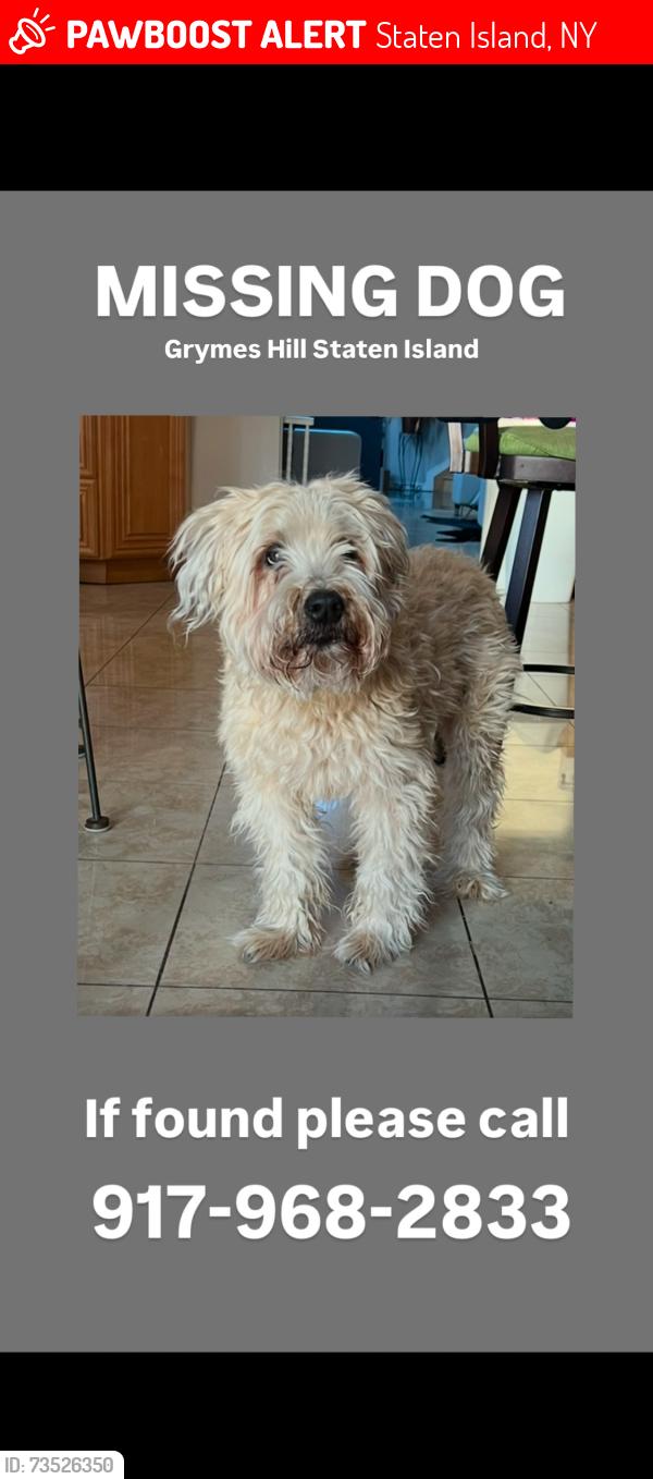 Lost Male Dog last seen Ada Place and Duncan Road, Staten Island, NY 10301