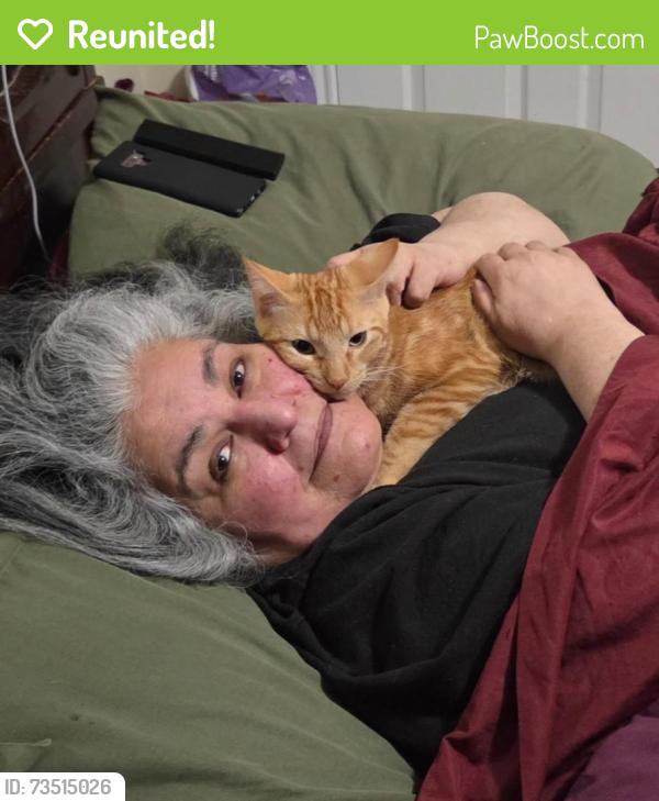 Reunited Male Cat last seen Between Robinson and Carrier, Grand Prairie, TX 75052