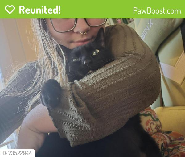 Reunited Male Cat last seen Nottingham apmts, Greensboro, NC 27407