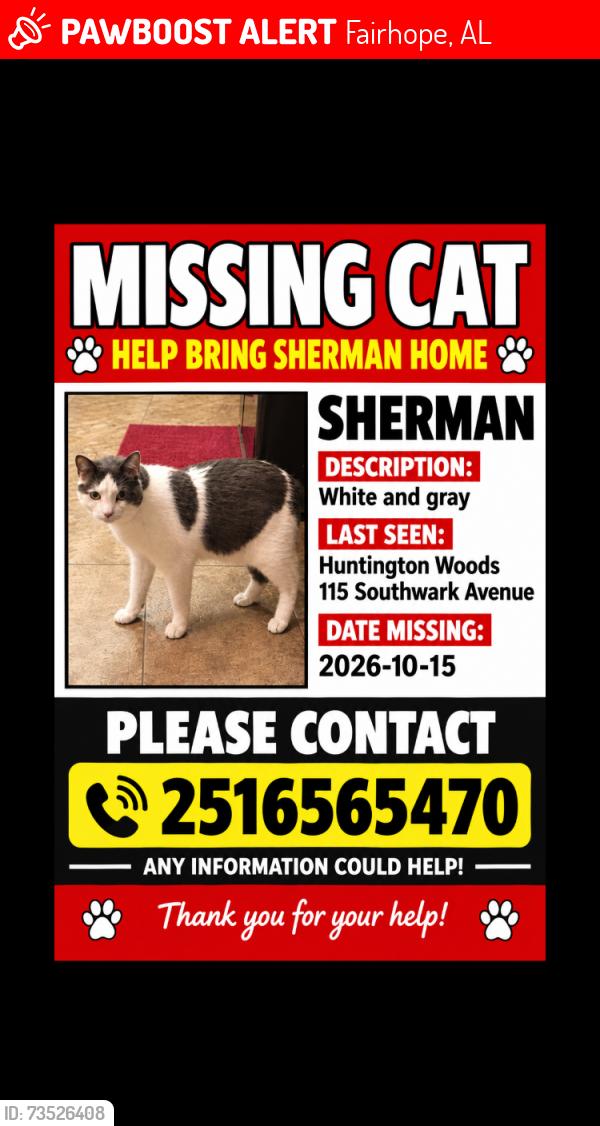 Lost Male Cat last seen South Greeno rd, Fairhope, AL 36532