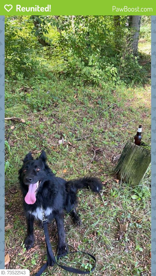 Reunited Female Dog last seen Veterans memorial park Rushville, Indiana, Rushville, IN 46173