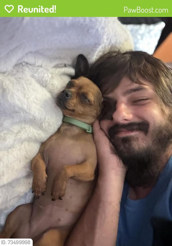 Reunited Female Dog last seen Near the garden inn & suites in west Rome !, Rome, GA 30165