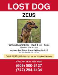 Reunited Male Dog last seen Blue Meadow Drive, Kathleen, GA 31047