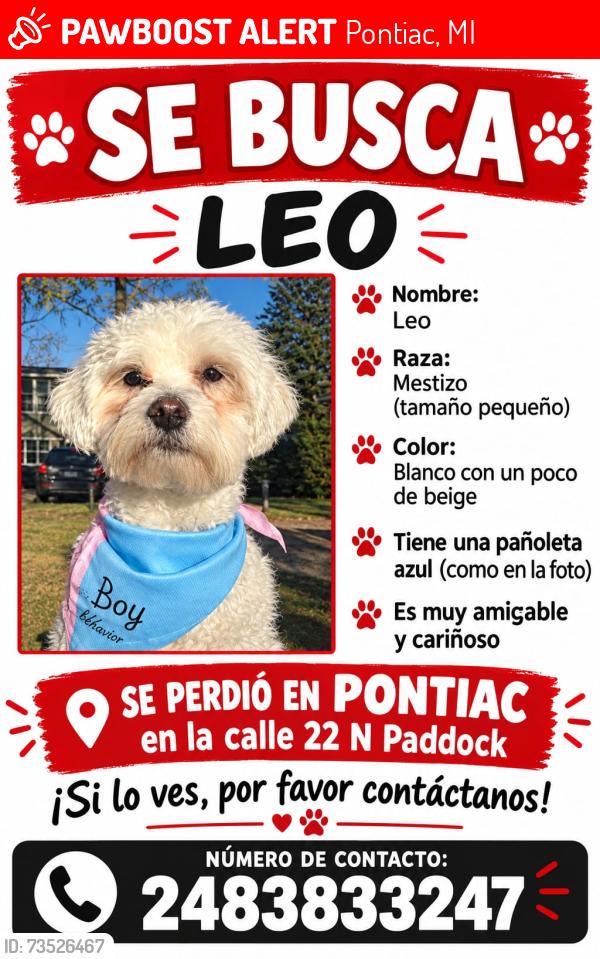 Lost Male Dog last seen Near n paddock st, Pontiac, MI 48342