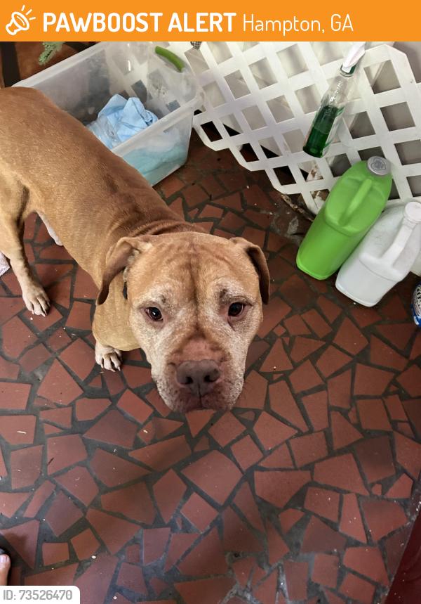 Found/Stray Male Dog last seen Lovejoy rd, Twin Oaks, Babbs Mill, Carl Parker rd behind Nash Farm park, Hampton, GA 30228