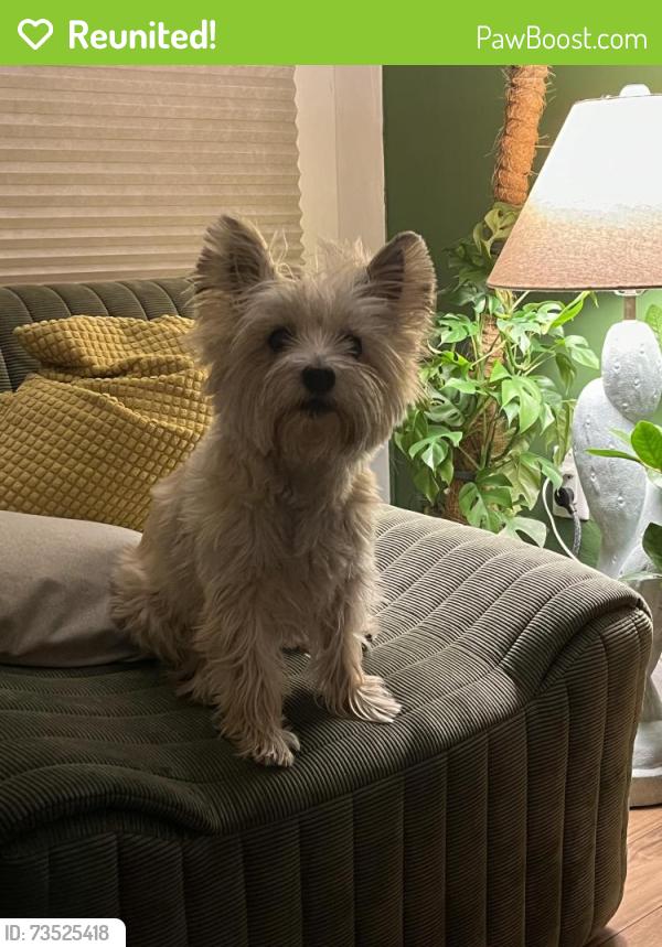 Reunited Female Dog last seen Near Rosemary Road, Toronto, ON M5N 1G1