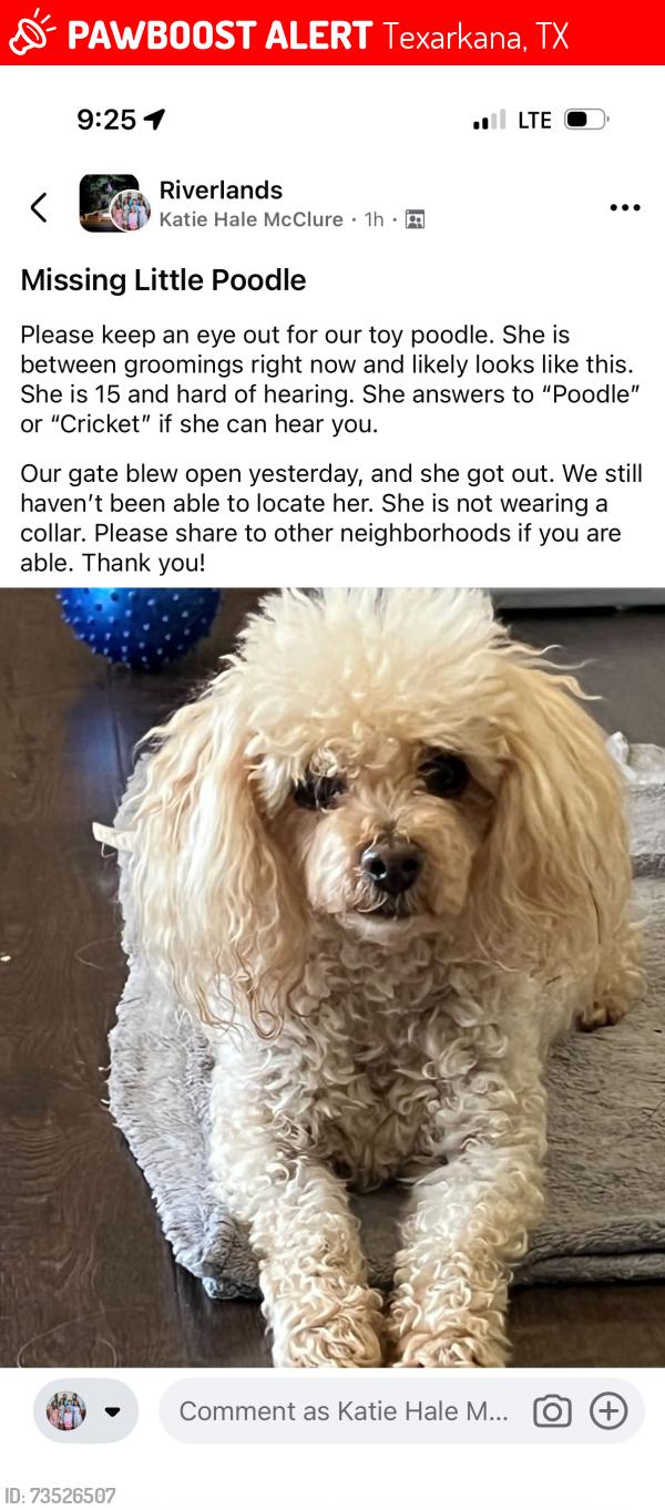 Lost Female Dog last seen Riverlands on Volga Ave, Texarkana, TX 75503