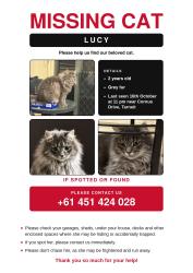 Reunited Female Cat last seen Bethany road, Tarneit, Tarneit, VIC 3029