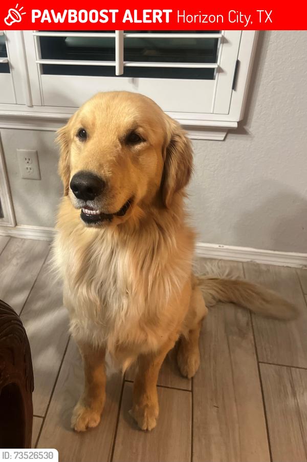 Lost Male Dog last seen Payton and Eastlake, Horizon City, TX 79928