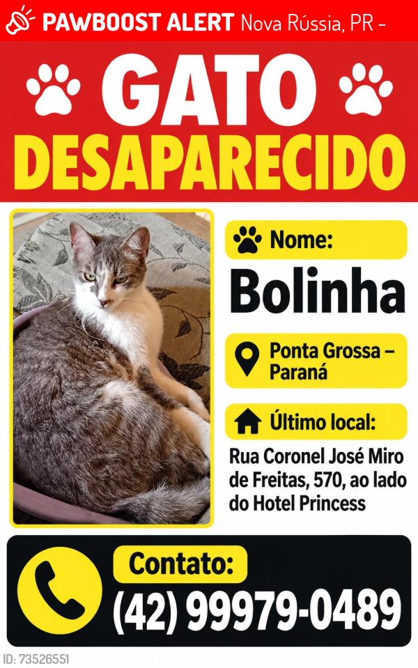 Lost Male Cat last seen Hotel Princess, Nova Rússia, PR 84070-440