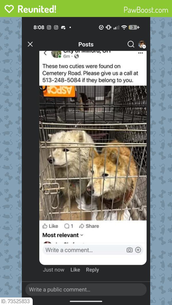 Reunited Male Dog last seen Seipelt Elementary School, Milford, OH 45150