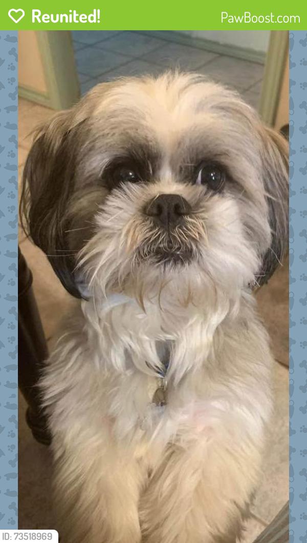 Reunited Male Dog last seen North Inspiration and Edgewood st, Mission, TX 78573