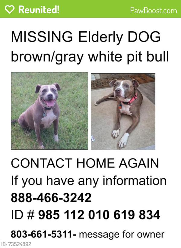 Reunited Female Dog last seen Hunt Club Rd and Dartmouth, Windsor Lake area, Two Notch, Columbia, SC 29223