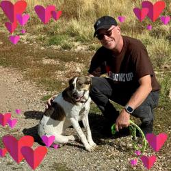 Lost Male Dog last seen Oswego/Lincoln, Lone Tree, CO 80124
