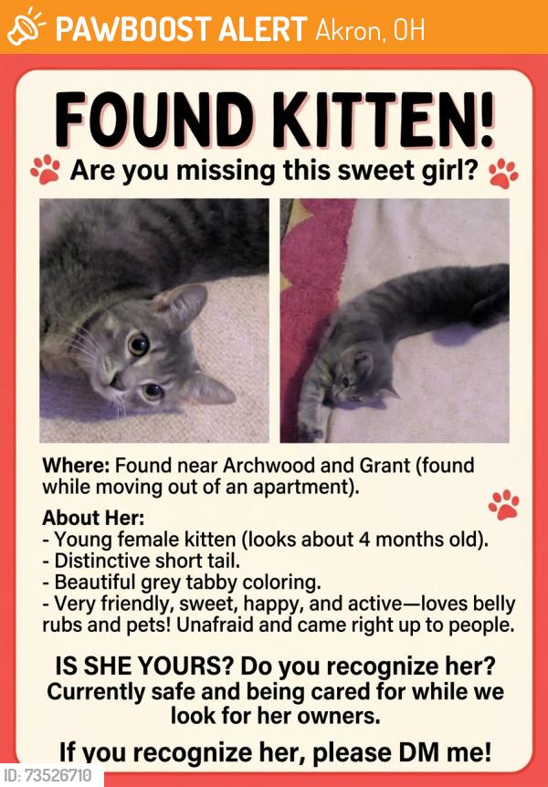 Found/Stray Female Cat last seen arch wood and grant, Akron, OH 44301