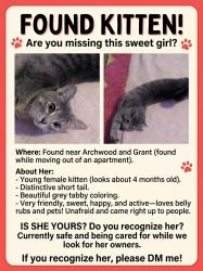 Found/Stray Female Cat last seen arch wood and grant, Akron, OH 44301