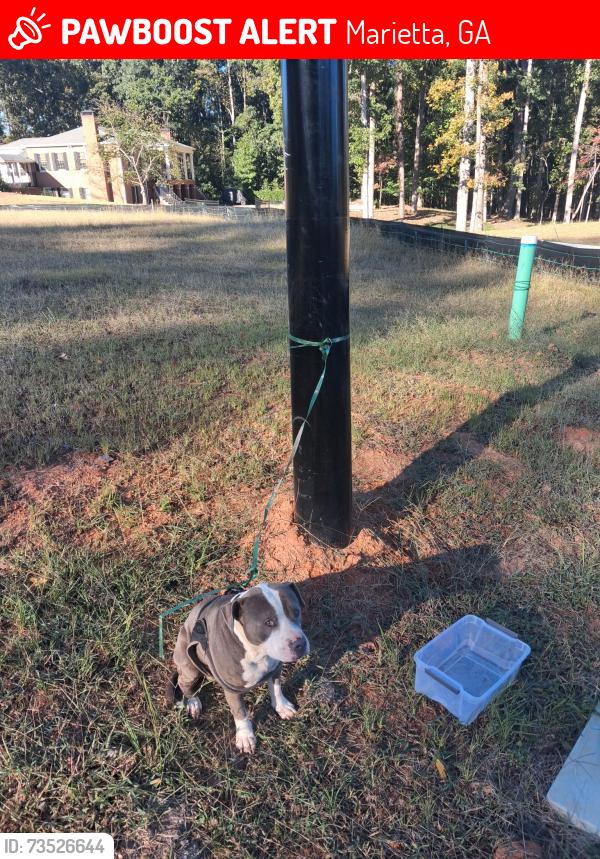 Lost Unknown Dog last seen Highvale drive Marietta Georgia, Marietta, GA 30060