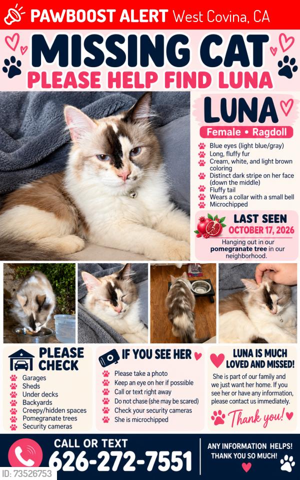 Lost Female Cat last seen Bauer Dr, Pass and Covina Rd, West Covina, CA 91792