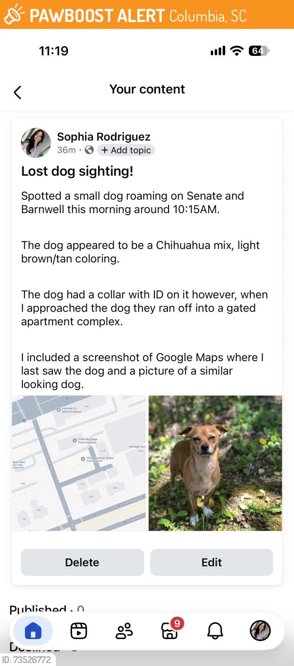 Found/Stray Unknown Dog last seen Senate and Barnwell St, Columbia, SC 29201