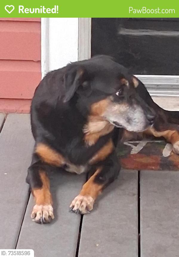Reunited Male Dog last seen Near east 6th street, Jacksonville, FL 32206