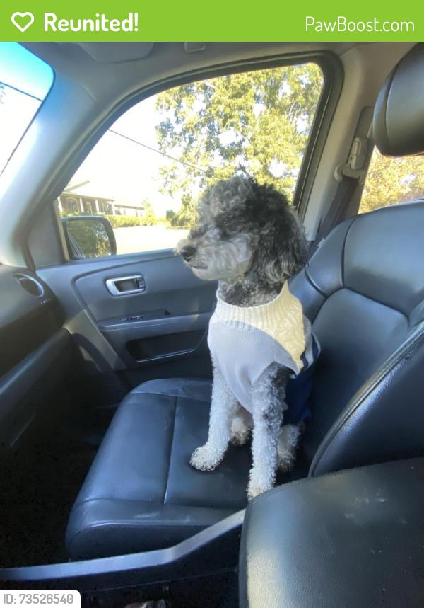Reunited Unknown Dog last seen Reid school road, Taylors, SC 29687