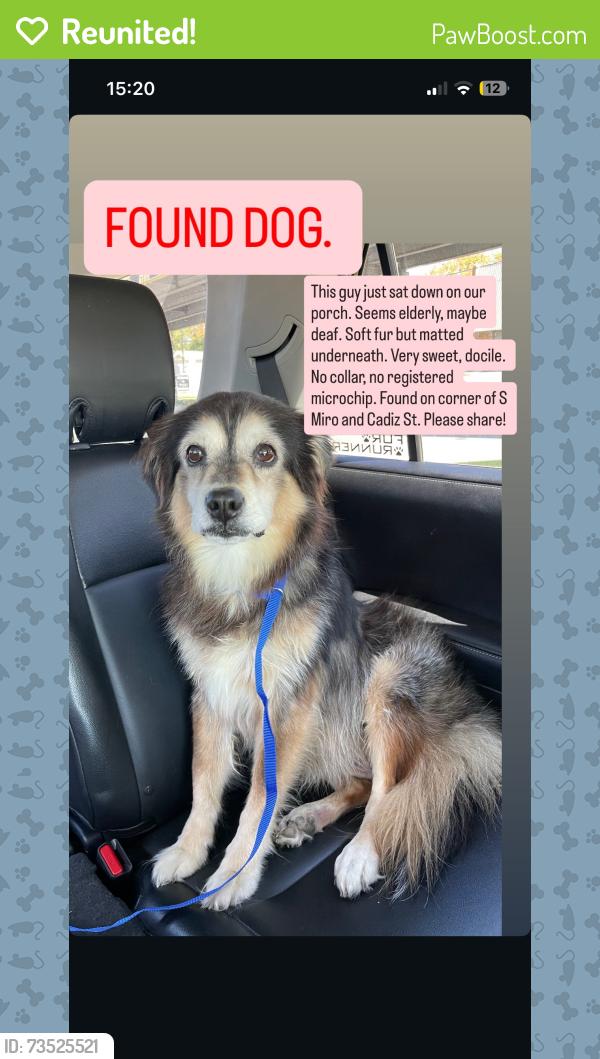 Reunited Male Dog last seen S Miro St. and Cadiz St., New Orleans, LA 70125