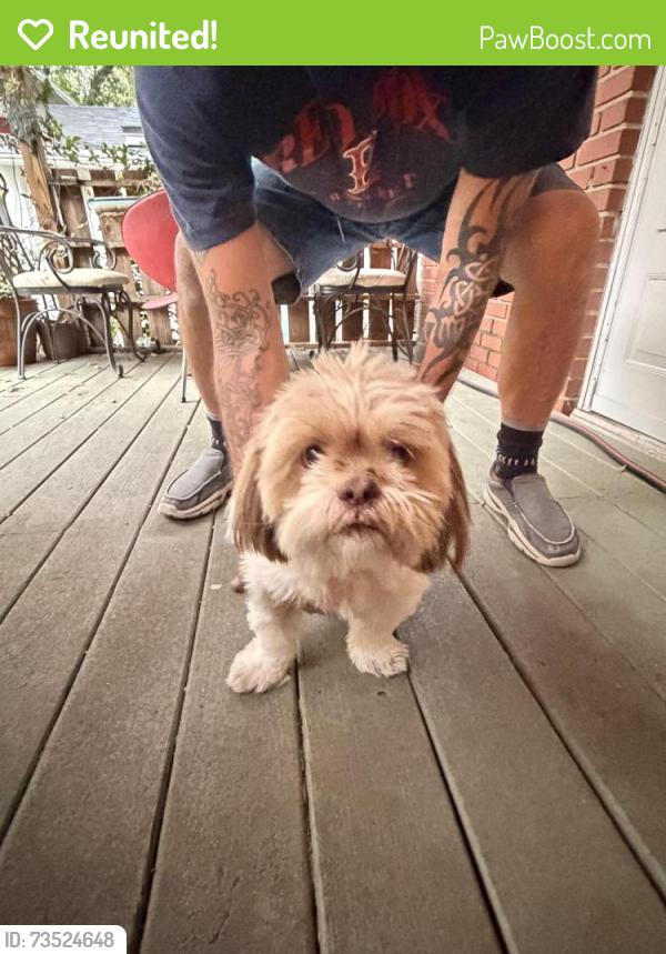 Reunited Male Dog last seen Near fishweir park, Parrish and Charon area, Jacksonville, FL 32205