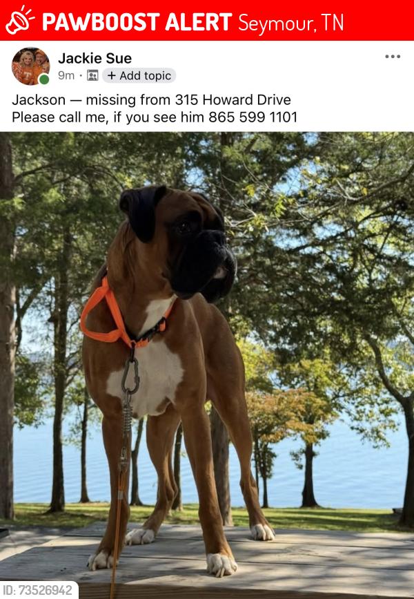 Lost Male Dog last seen Howard Drive, Seymour, TN 37865