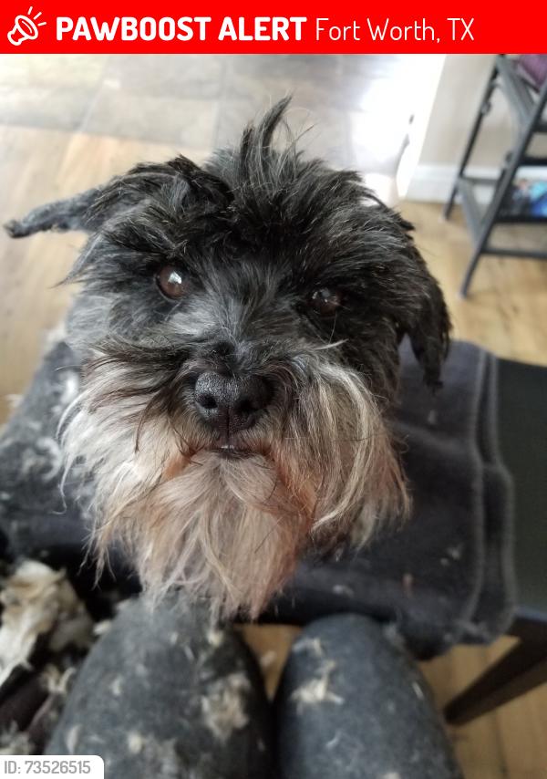 Lost Female Dog last seen Ridgmar Blvd & Plaza Prkwy, Fort Worth, TX 76116