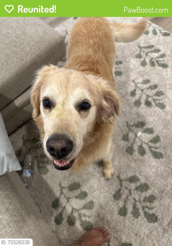Reunited Male Dog last seen Summerfield rd, Monroe County, MI 49270