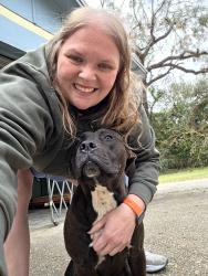 Found/Stray Unknown Dog last seen W. Fairfield Dr, Pensacola, FL 32503