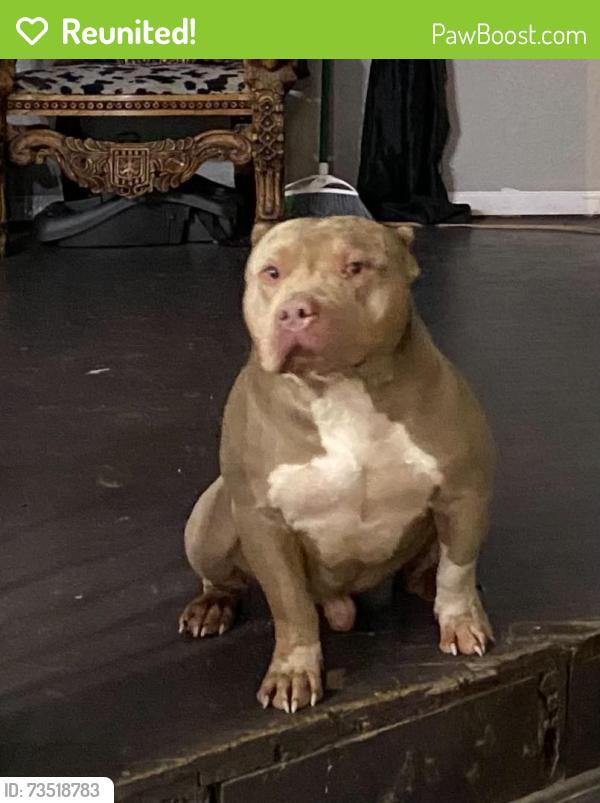 Reunited Male Dog last seen Pine & Sheridan, Tulsa, OK 74115