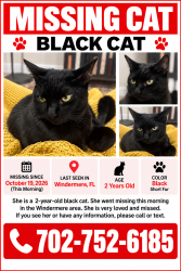 Lost Female Cat last seen Near ashlin park blvd, Windermere, FL 34786