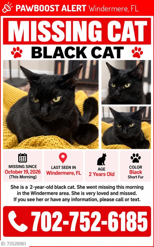 Lost Female Cat last seen Near ashlin park blvd, Windermere, FL 34786