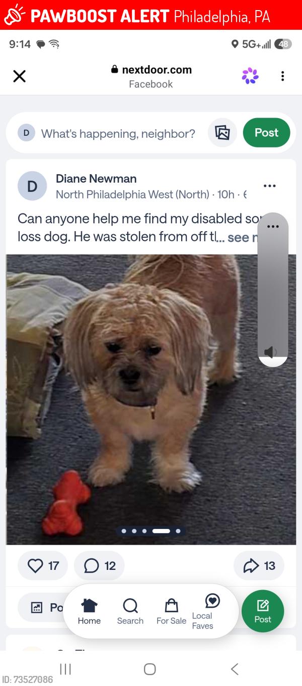 Lost Male Dog last seen Vanpelt & Berks St., Philadelphia, PA 19121