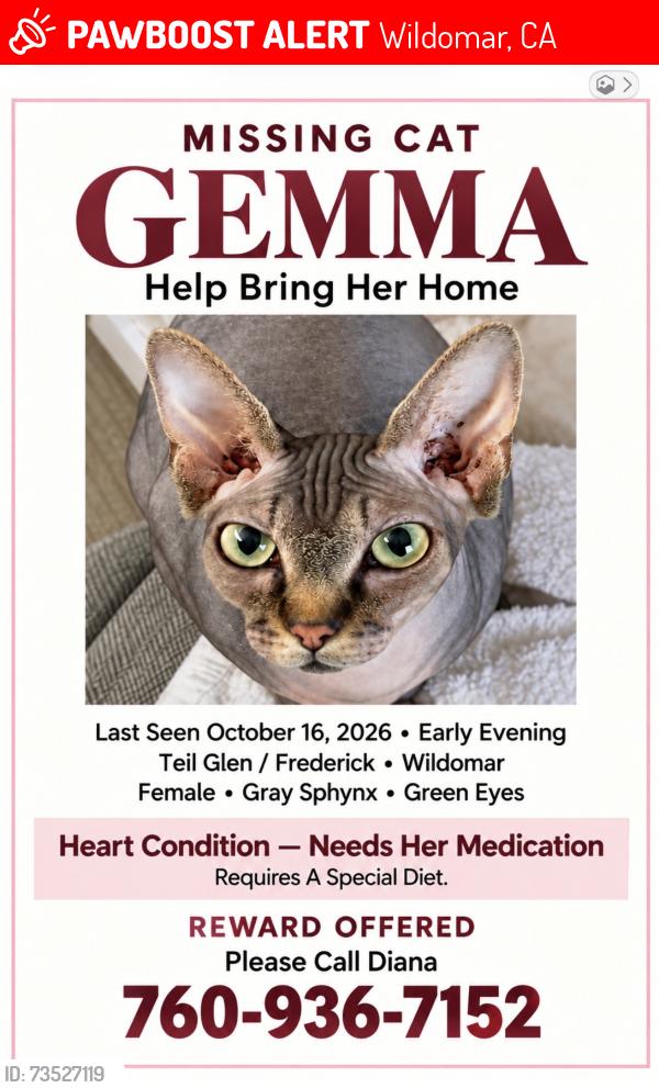 Lost Female Cat last seen Teil Glen/ Fredrick Rd Wildomar, Wildomar, CA 92595