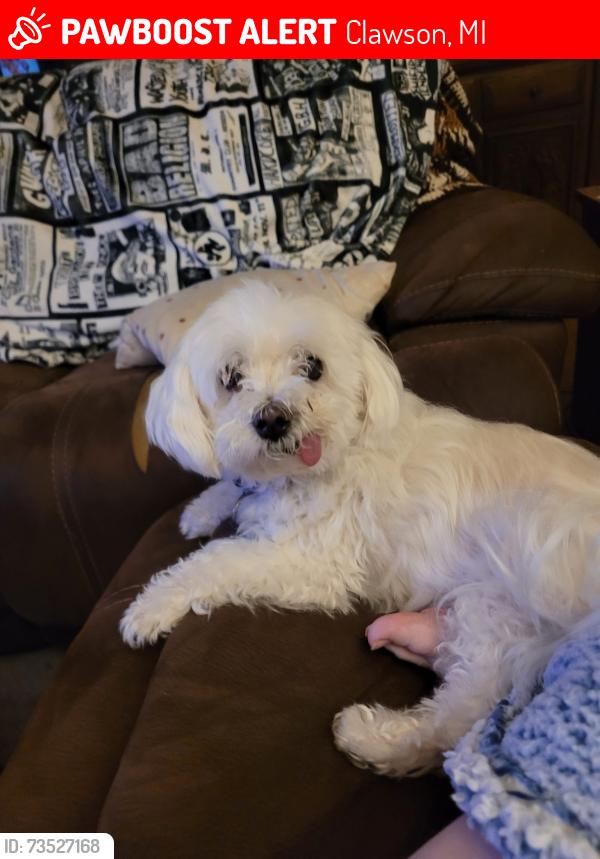 Lost Male Dog last seen Leroy and custer, Clawson, MI 48017