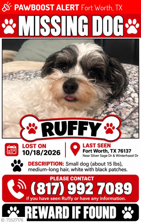 Lost Male Dog last seen Beach st, Fort Worth, TX 76137