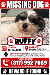 Lost Male Dog last seen Beach st, Fort Worth, TX 76137