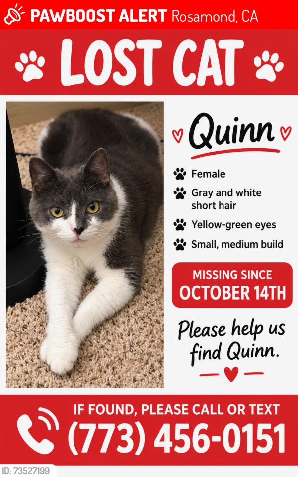 Lost Female Cat last seen 35th Street and Firebush, Rosamond, CA 93560