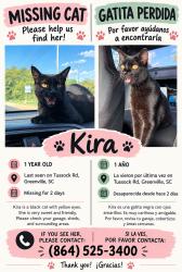 Lost Female Cat last seen Near tussock Rd Greenville sc 29615, Greenville, SC 29615