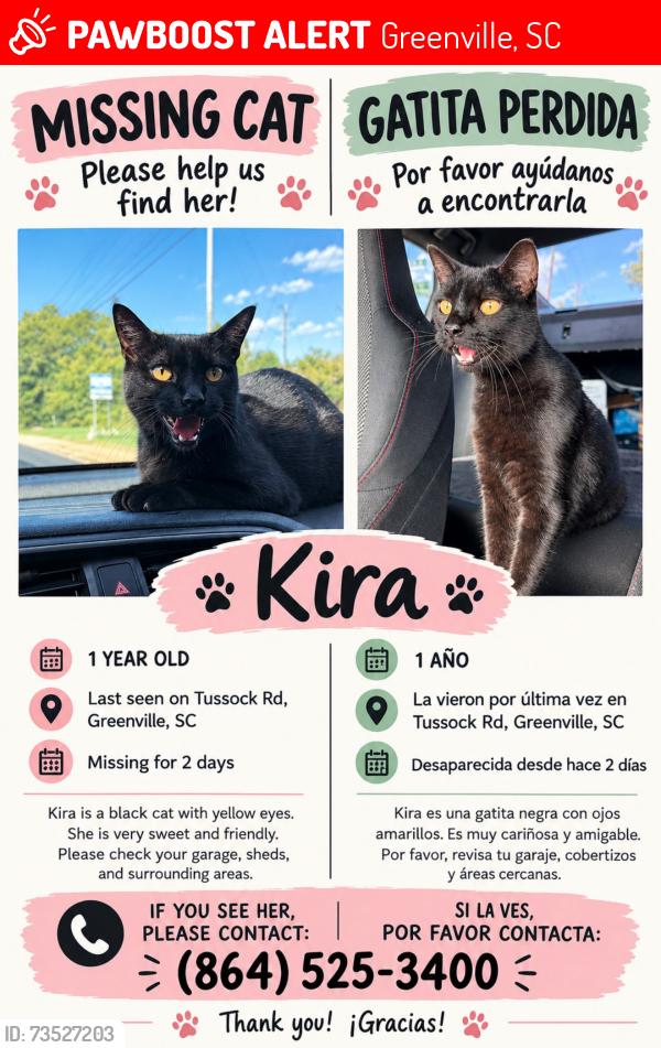 Lost Female Cat last seen Near tussock Rd Greenville sc 29615, Greenville, SC 29615