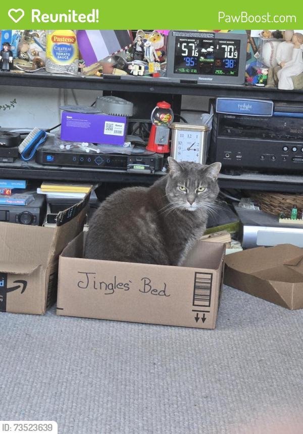 Reunited Female Cat last seen Riverneck Rd and Carlisle St., Chelmsford, MA 01824