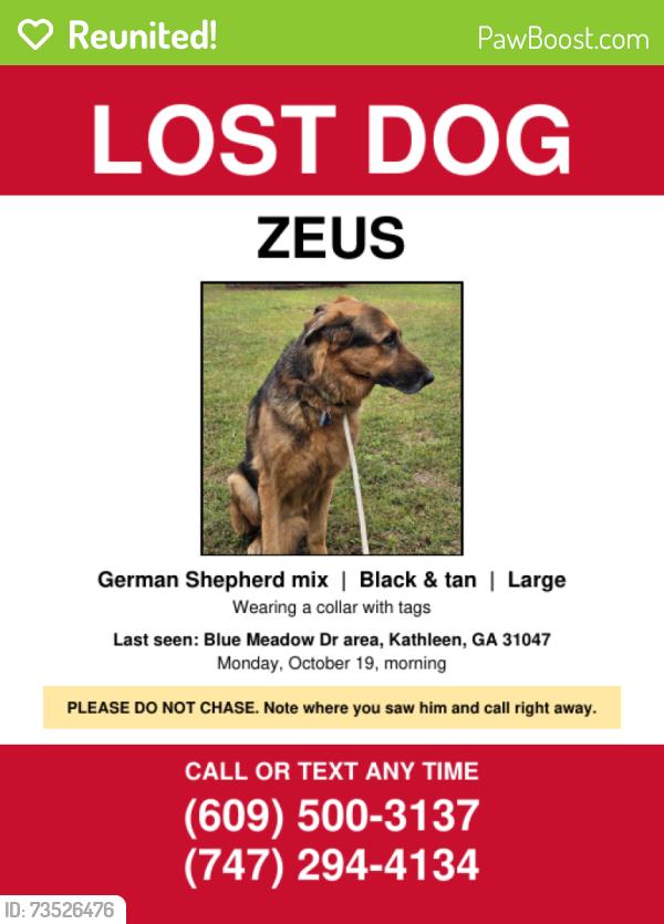 Reunited Male Dog last seen Blue Meadow Drive, Kathleen, GA 31047