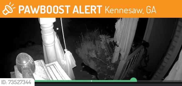 Found/Stray Unknown Cat last seen Jiles road, Kennesaw springs, Kennesaw, GA 30144