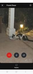 Found/Stray Unknown Cat last seen Agoura Rd and Lakeview Canyon Rd, Thousand Oaks, CA 91361