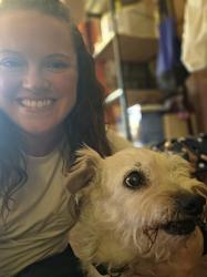 Reunited Male Dog last seen Dartmouth and Fox, Englewood, CO 80110