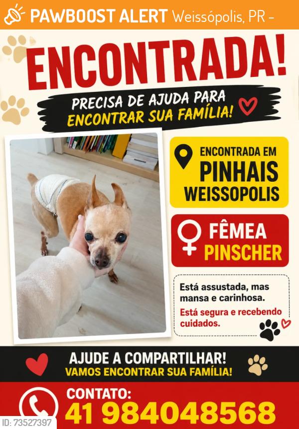 Found/Stray Female Dog last seen Perto da Clinidog, Weissópolis, PR 83322-220