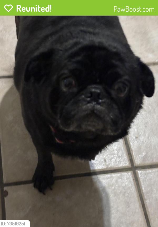 Reunited Male Dog last seen Old lorena road and summer harvest, Lorena, TX 76655